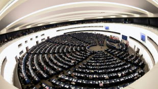 Bulgarian MEP gives Nazi salute in European Parliament