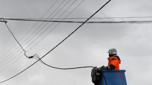 Tempête Ciaran: 44.200 foyers restent privés d'électricité mardi soir