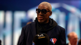 Rodman veut se rendre à Moscou pour aider Brittney Griner