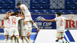 Tunisia beat Japan to win Kirin Cup