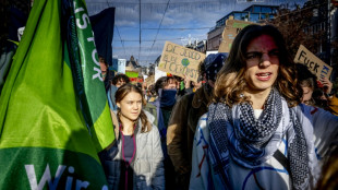 Greta Thunberg bei größtem Klima-Marsch in Geschichte Amsterdams