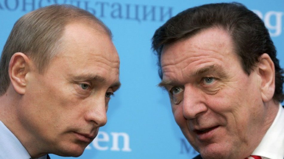 Scholz rechnet mit Informationen über Schröders angebliches Treffen mit Putin