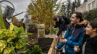 Un jardin ambulant, ou quand la nature vient aux écoliers de Bourgogne