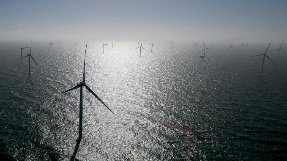 European countries aim to boost wind energy production