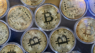 Le "halving", test de survie pour les mineurs de bitcoins