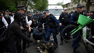 Ruanda-Gesetz: Festnahmen bei Protest gegen Abschiebung von Migranten in London