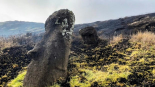 Chili: 80 statues de l'île de Pâques endommagées par un incendie