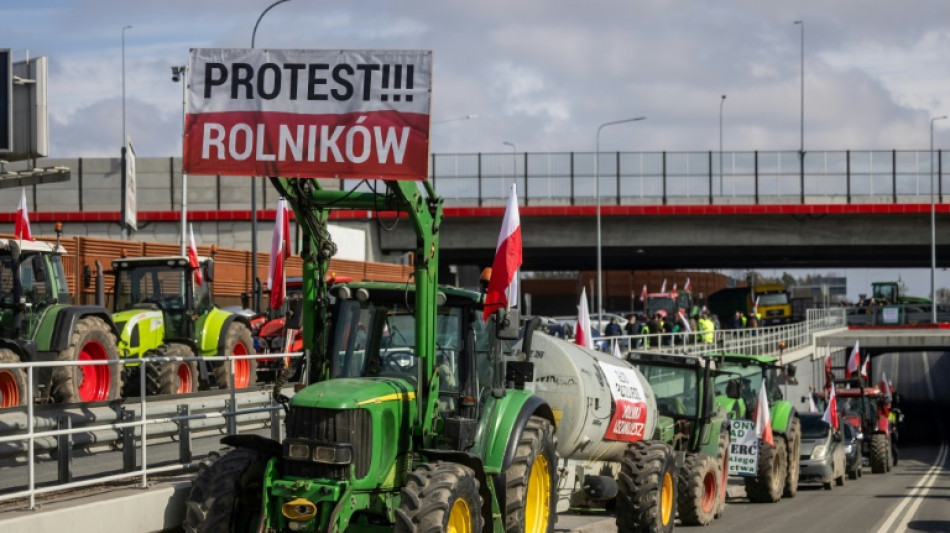 Agriculture: les 27 divisés sur les restrictions à imposer à l'Ukraine