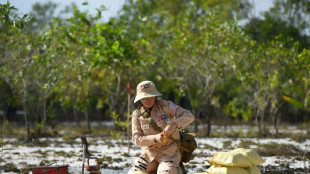 White House announces near-total US ban on landmines use