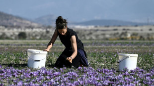 Cracked earth in Greece's saffron heartland as drought takes toll