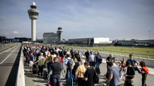 Schiphol CEO quits over Amsterdam airport chaos