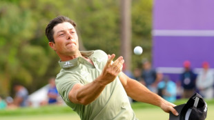 Hovland ends PGA title drought with Valspar victory as Thomas fades