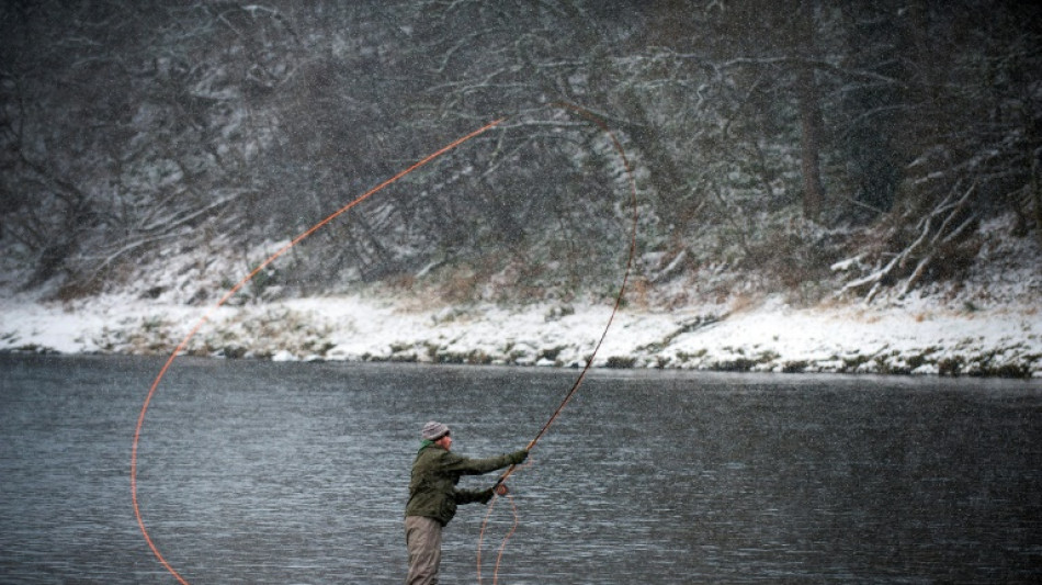 Fishermen lament plunge in Scottish wild salmon catch