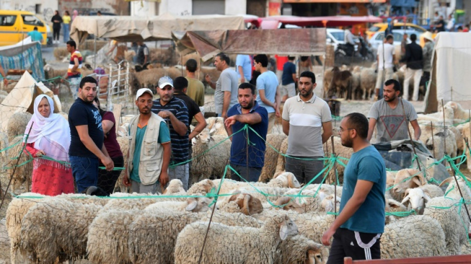 Le pouvoir d'achat des Tunisiens à l'épreuve du mouton de l'Aïd