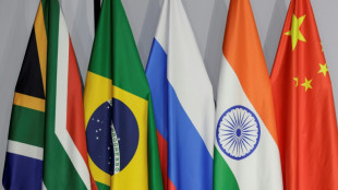 BRICS: the six new members