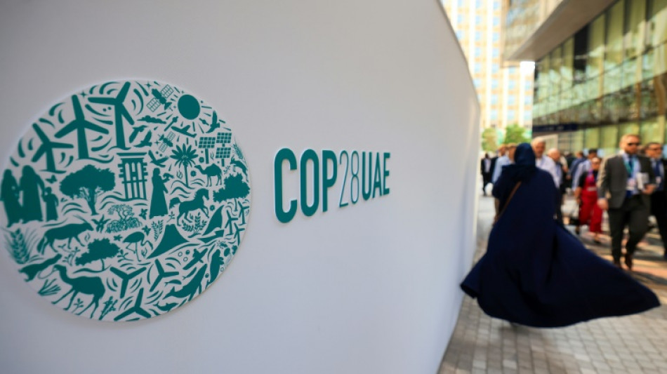 La présidence de la COP28 sous pression pour faire sortir les négociations de l'ornière