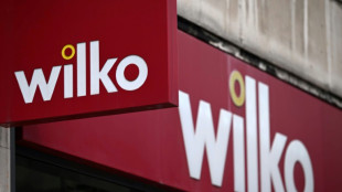 UK retailer Wilko's administrators warn of job losses