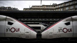 Chassé-croisé des vacances d'été: le jour le plus long pour la SNCF