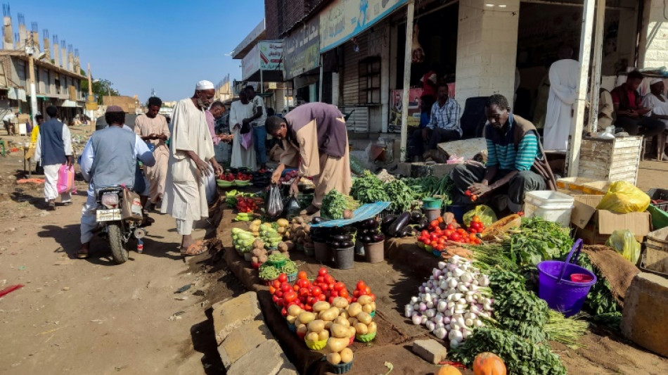 Los paramilitares sudaneses y sus aliados acuerdan la creación de un gobierno paralelo