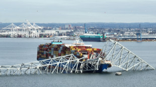 Baltimore bridge collapse sparks baseless attack theories