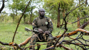 Chad rangers battle to protect park from poachers, local farmers