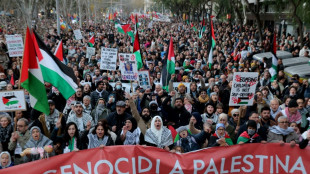 20.000 Menschen demonstrieren in Madrid gegen Israels Militäreinsatz im Gazastreifen