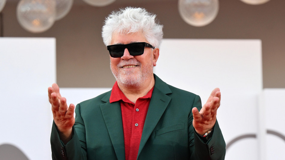  Totoleone, da Almodovar a Queer fino a The Brutalist 