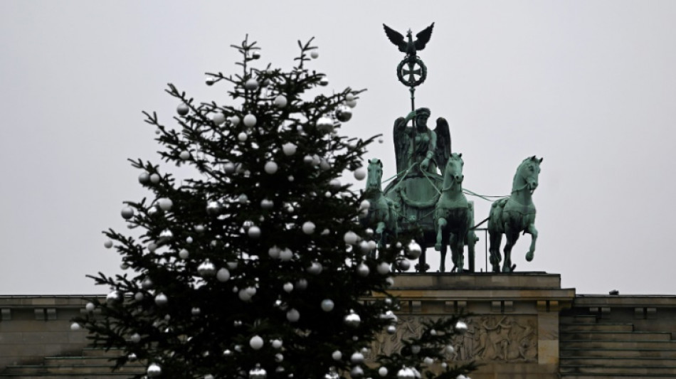 Geldstrafe für Klimaaktivistin nach Absägen von Christbaumspitze in Berlin