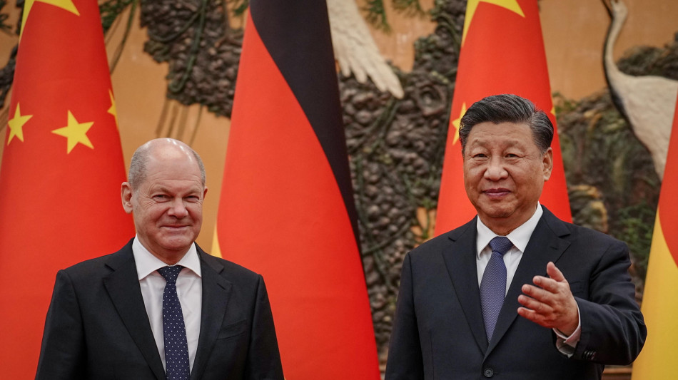  Xi presenta a Scholz i 4 principi sulla crisi Ucraina 