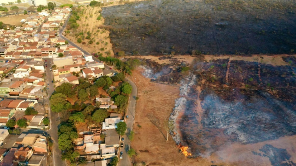 Brazil's farmers fret over fires and drought