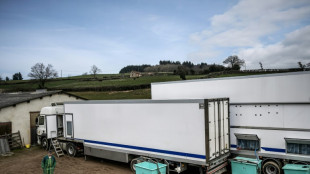 En Bourgogne, un abattoir mobile "prouve" qu'un élevage responsable est possible