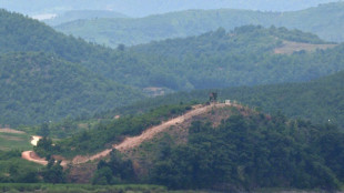 Südkoreanische Armee reagiert mit Warnschüssen auf Grenzübertritte aus dem Norden