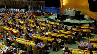 La ONU vota la propuesta de justificar el recurso al veto 