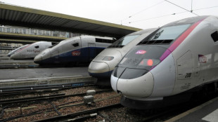 La ligne TGV Paris-Lyon, la plus fréquentée d'Europe, fermée pendant quatre jours en novembre