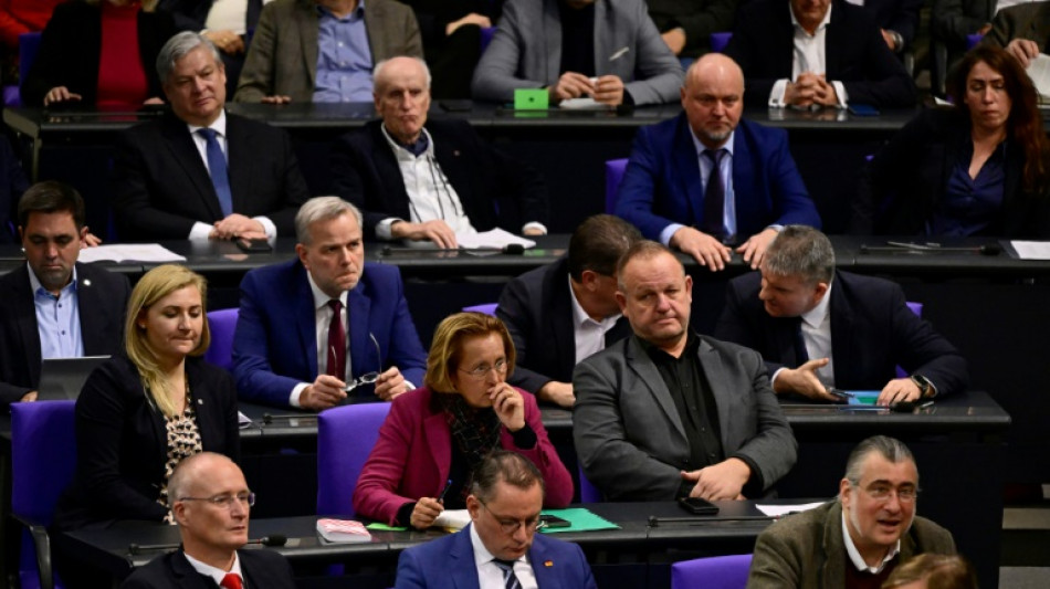 Bundestag debattiert über Verdächtigungen gegen AfD-Politiker