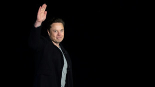 Elon Musk et Twitter, chronique d'un mariage arrangé dans la douleur