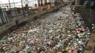 Nigeria's polluted economic hub Lagos bans styrofoam, plastics