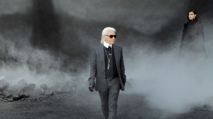 Karl Lagerfeld's Paris home up for auction