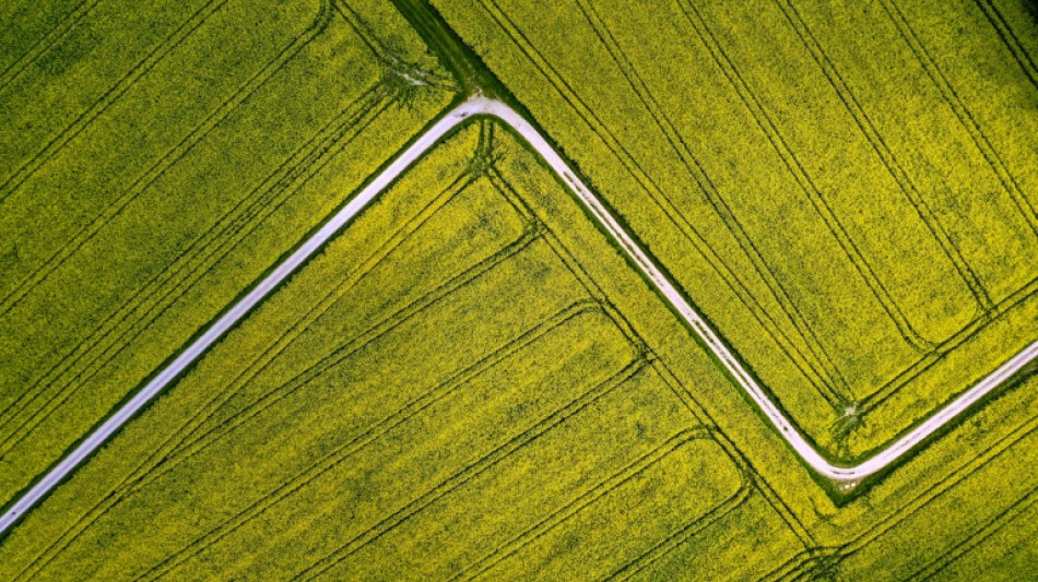 Bauernverband pocht auf Ausnahmen bei Stilllegung von Ackerflächen