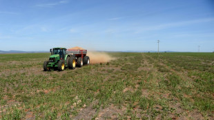 Ukraine war pushes Brazil toward natural fertilizers