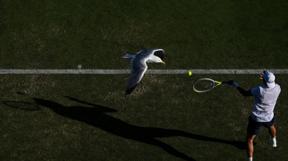 Haddad Maia pasa a semifinales de Eastbourne por baja de su rival en cuartos