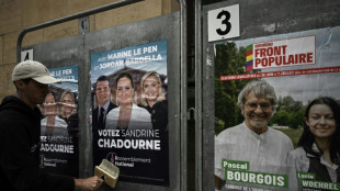 Législatives: dans un climat tendu, le RN dénonce "un parti unique" pour le priver de la victoire