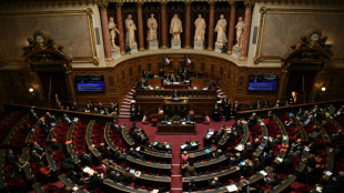 Industrie verte: coup d'envoi des débats au Sénat, les sénateurs regrettent "une petite loi"