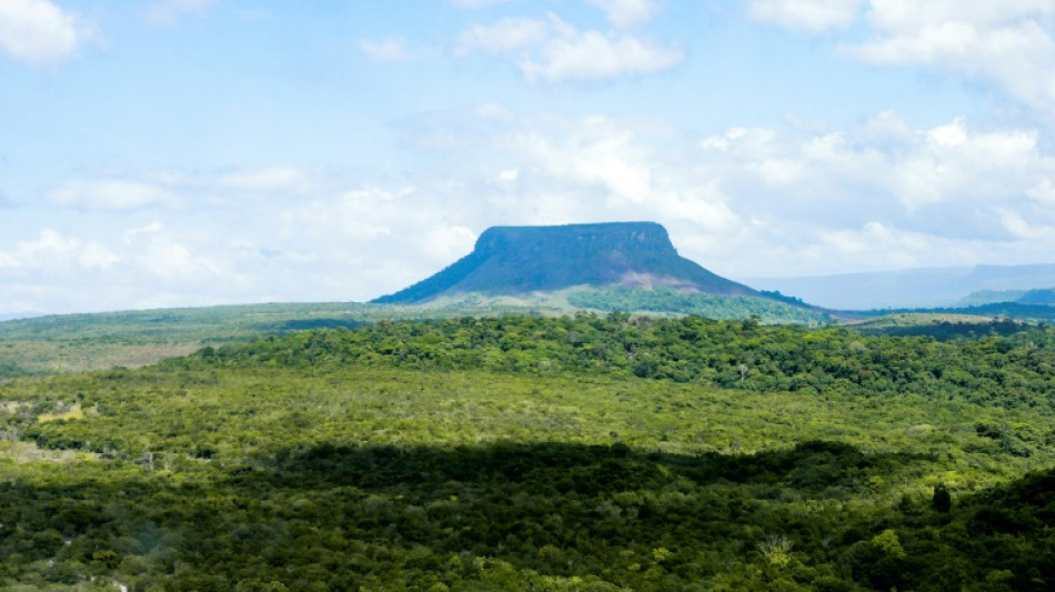 "Ici, c'est le Guayana", clame-t-on dans l'Essequibo revendiqué par le Venezuela