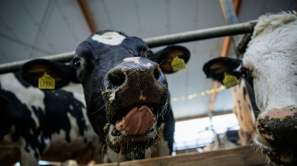 Erzeugerpreise für landwirtschaftliche Produkte im August wieder rückläufig