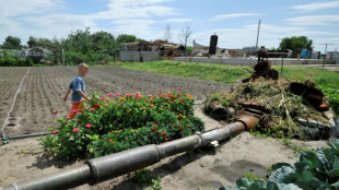 Ukraine: accord vendredi sur l'exportation des céréales ukrainiennes, poursuite des bombardements russes