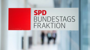 Geforderte Bürgergeld-Senkung: SPD kritisiert FDP-Vorstoß scharf 