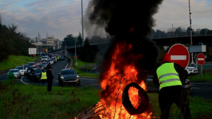 Transport des malades: forte mobilisation des chauffeurs de taxi à Lyon et dans le Sud