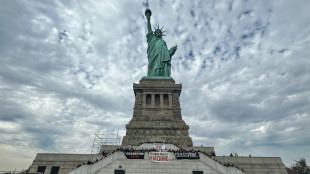 Gaza: à New York, des militants juifs occupent la Statue de la Liberté pour réclamer un cessez-le-feu 