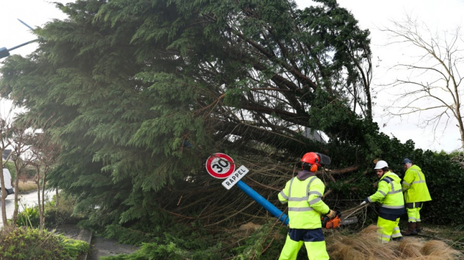 Tempêtes Ciaran et Domingos: les assureurs estiment les dommages à 1,3 milliard d'euros